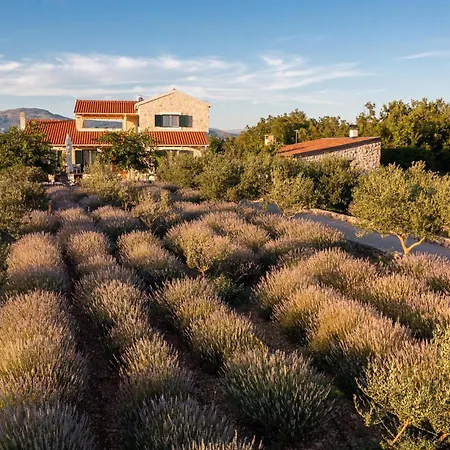 In Drnis With Sauna 펜션