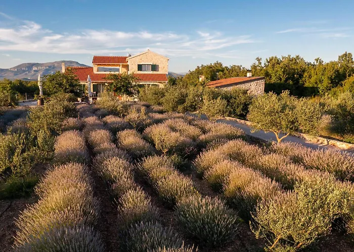 In Drnis With Sauna Nyaraló